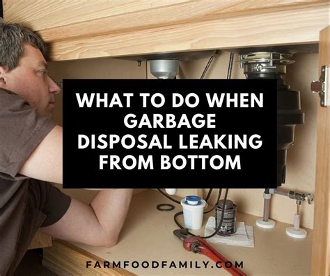 garbage disposal dripping from bottom|Garbage Disposal Leaking from the Bottom:。